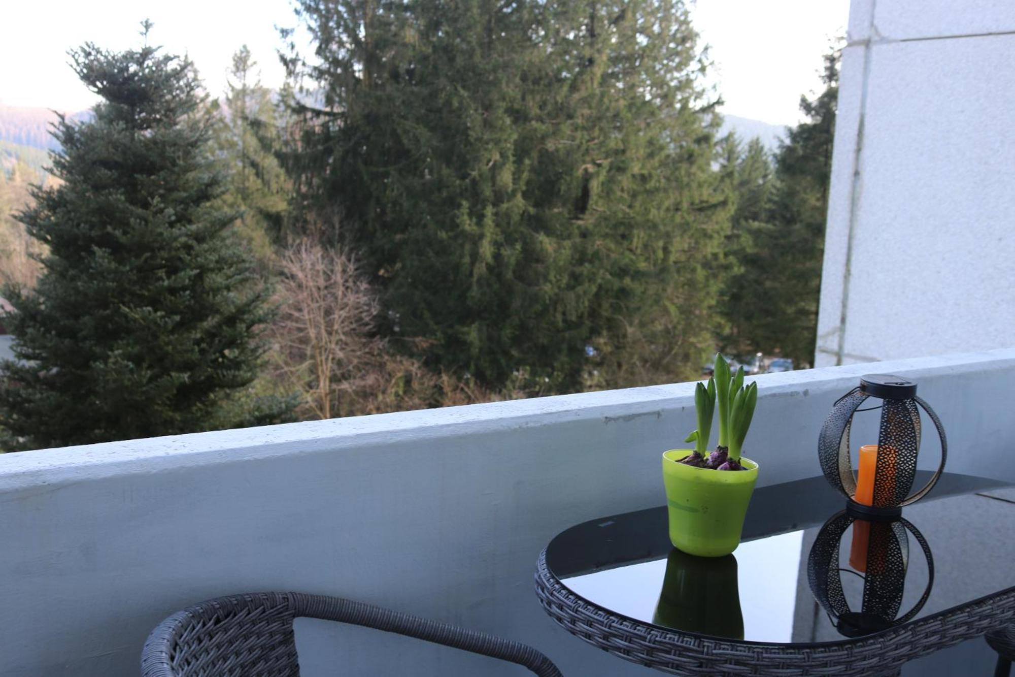 Natur Suite Goslar Eksteriør billede